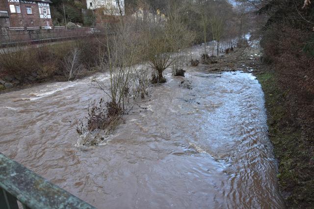 Foto: Andrea Kaller-Fichtmüller