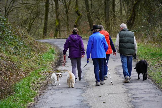  Reduziert der kommende Frühling die Virus-Ausbreitung? Gesehen im Odenwald im Otterbachtal bei Amorbach. 