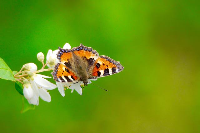Bringt der Frühling und die wärmeren Temperaturen die Wende?