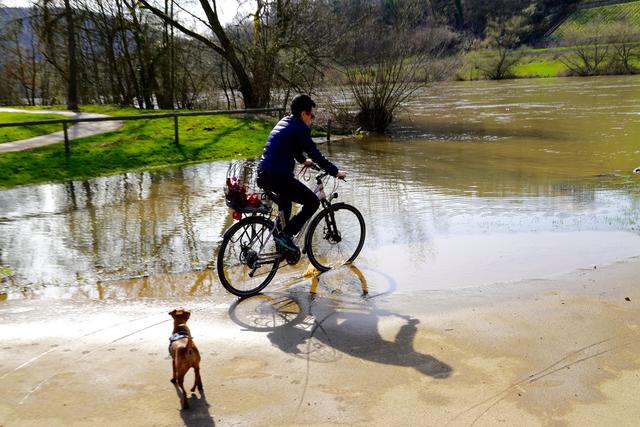 Eine mutige Radfahrerin ist unterwegs bei Bürgstadt am Main. Ihre verschmutzten Reifen versucht  sie in einer Wasserfläche zu reinigen. Da hilft eine Runde im Kreis unweit vom noch Hochwasser führenden Main nicht viel. Ihr Vierbeiner scheint sich zu wundern, was Frauchen alles für Kunststückchen  präsentiert, aber das Hündchen beobachtet die Szenerie eher aus der Distanz, denn  viel zu nass und rutschig ist der Untergrund. Nur gut, daß die Radlerin nicht ins Schleudern gerät!