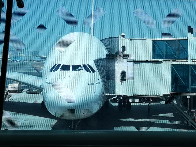 Das weltgrößte Passagierflugzeug der A380-800 fasst 500 Passagiere. Wurden beim Flug in die Vereinten Arabische Emirate vor drei Wochen wegen der Ansteckungsgefahr durch mögliche Coronaviren noch großflächig während des Fluges Desinfektionsmittel über allen Passagieren versprüht, so hält man das bei Emirates drei Wochen später bei der Rückreise in die BRD wohl nicht mehr für nötig.