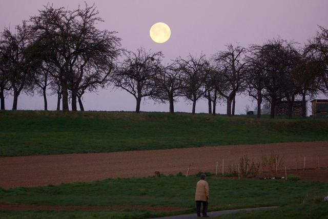 4 Supermond 8.4.2020 - Foto Roland Schönmüller

Eine Frühaufsteherin und Spaziergängerin beobachtet den Monduntergang am 8.4.2020 gegen sieben Uhr bei Eichenbühl-Heppdiel, Landkreis Miltenberg. 