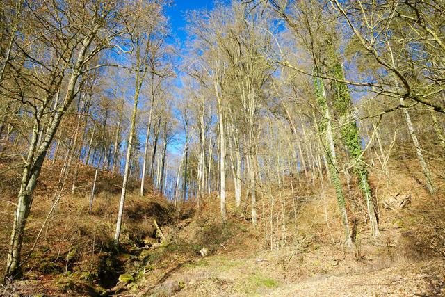 Höhle "Schwarzer Stein" - versteckt im Kaltenbachtal - unweit der Spritzenmühle. 



