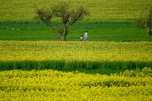 Eine Maiwanderung ist heuer erlaubt - allerdings nur in der näheren Umgebung und nur mit Familienmitgliedern (Personen  des eigenen Haushaltes) oder einer weiteren Person. 