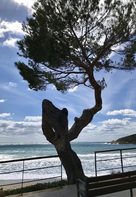 Sant Elm