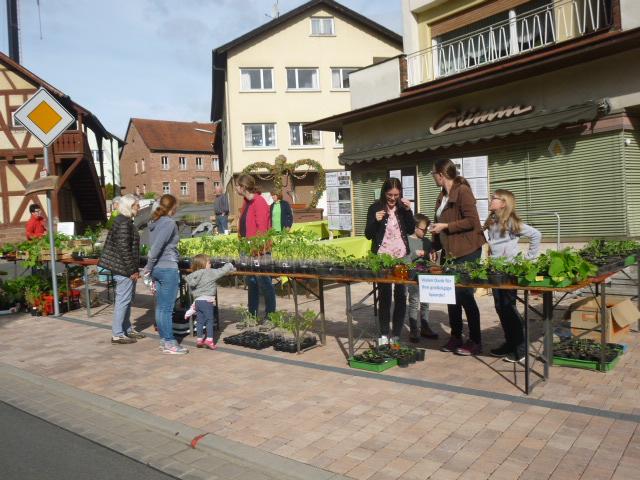 Der Pflanzenflohmarkt des OGV Kirchzell findet jedes Jahr großen Anklang. Hier ein Bild aus dem letzten Jahr.  | Foto: OGV Kirchzell