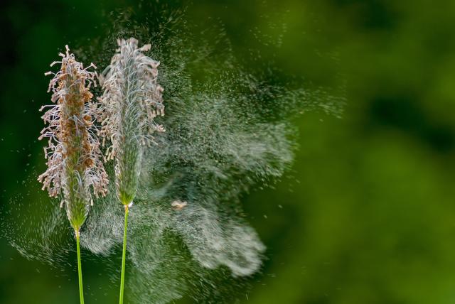 Foto: stock.adobe.com