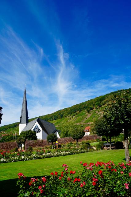 
Hier im Rosengarten von Klingenberg kann man wunderschöne, inspirierende und erholsame Momente erleben 
mit vielen farbenprächtigen Blumen, gerade jetzt im Juni, im Monat der Rosen!