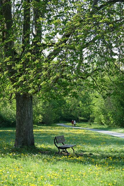Wer im Stadtpark Miltenberg auf den Geschmack gekommen ist,  kann auch einen Ausflug zum neu gestalteten Park Schloss Löwenstein in Kleinheubach machen