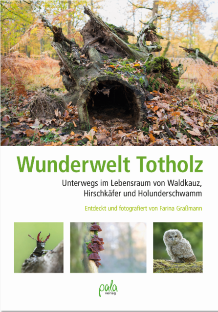 Was wären unsere Wälder ohne Totholz?