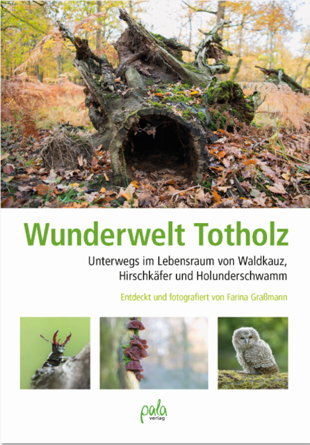 Was wären unsere Wälder ohne Totholz? | Foto: pala Verlag