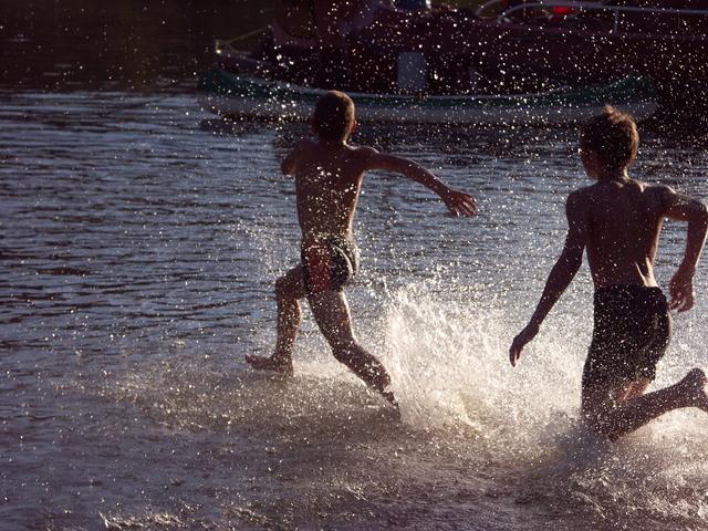 Auf ins Wasser! Gesehen am Main bei Dorfprozelten. 