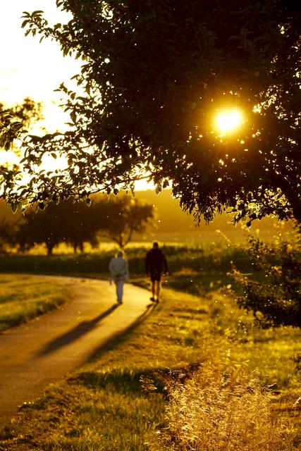 Sommer-Spaziergang in der Abenddämmerung. 