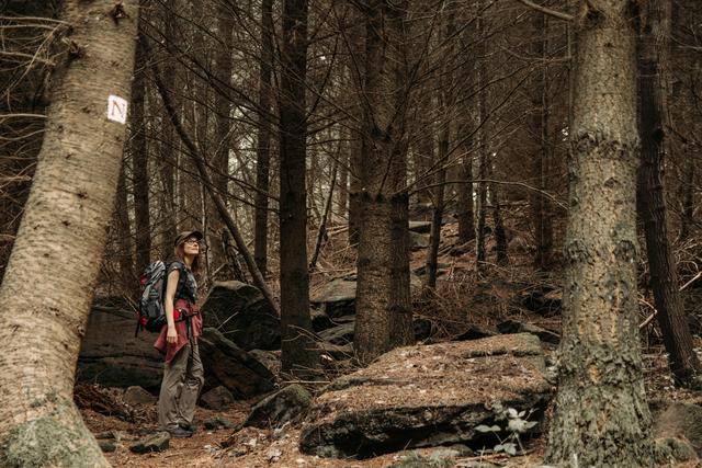 Von grünen Gründen rein ins finstere Felsenmeer. Die Landschaften entlang des Nibelungensteigs zwischen Miltenberg und Amorbach sind sehr abwechslungsreich. | Foto: Dominik Stapf