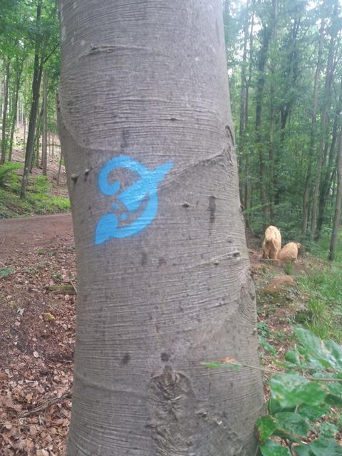 Kunstpfad "3 im Wald"  | Foto: DREI AM MAIN