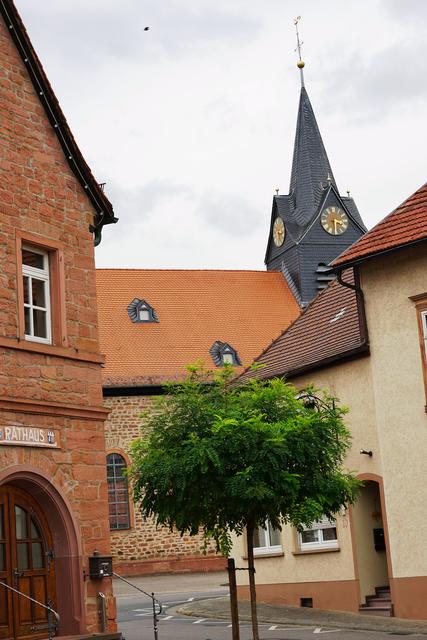 Foto: R.Neider