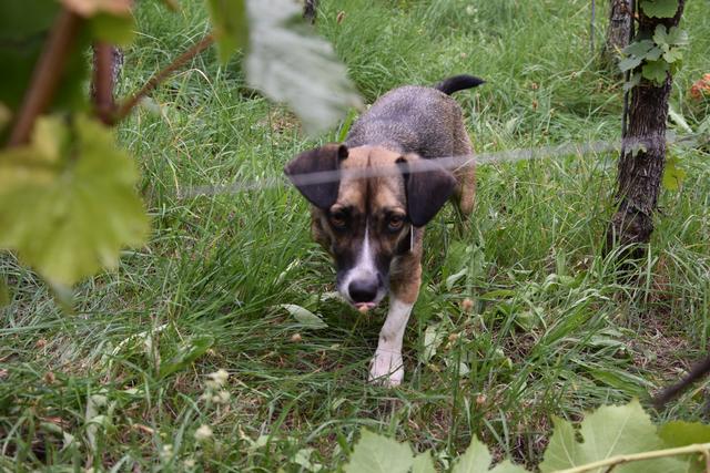 Foto: Sabine Rindsfüsser