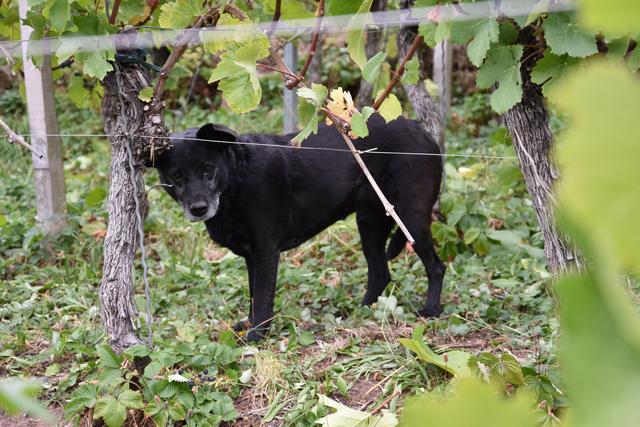 Foto: Sabine Rindsfüsser