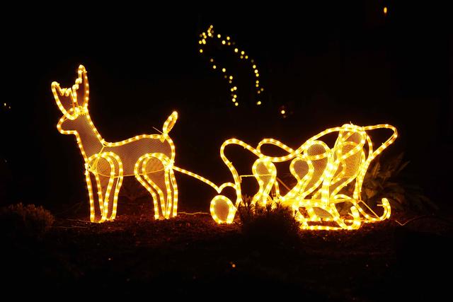 Foto: Roland Schönmüller