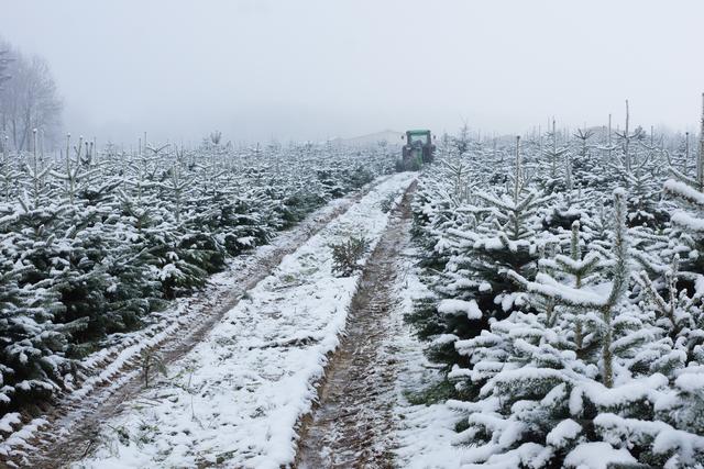 Foto: Roland Schönmüller