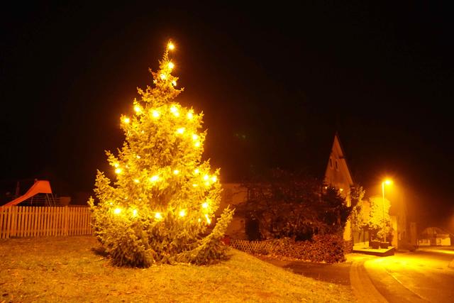 Foto: Roland Schönmüller