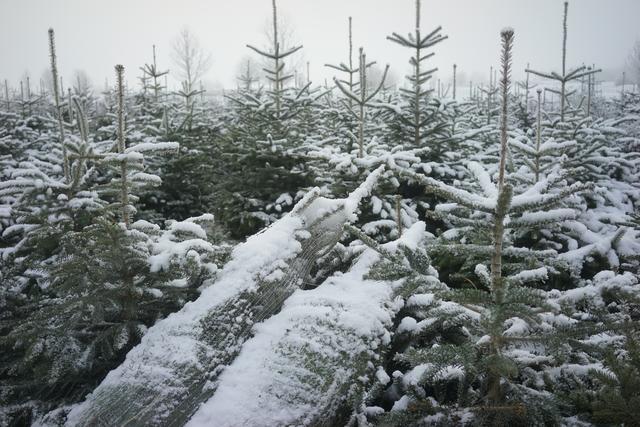 Foto: Roland Schönmüller