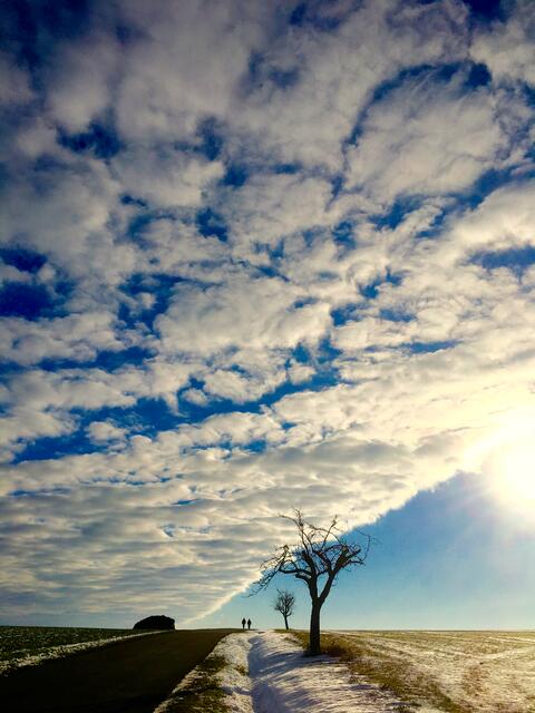 Was ist ein typischer Winter?

Schnee muss liegen, kalt war es schon oder wird es von ganz alleine. Eisiger Wind fegt über die Höhen des Odenwaldes bei Miltenberg-Schippach.