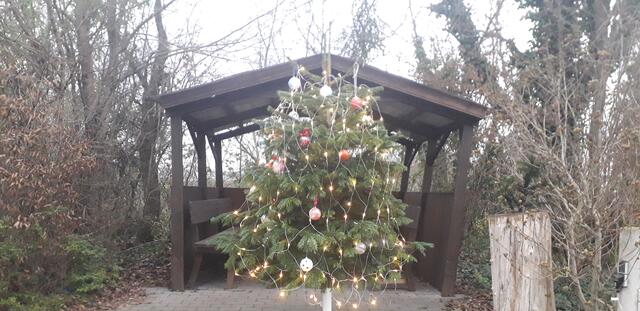 Die NCV-Jugend hat einen Christbaum am Vereinsheim mit selbst gestalteten Kugeln geschmückt | Foto: Melanie Graner