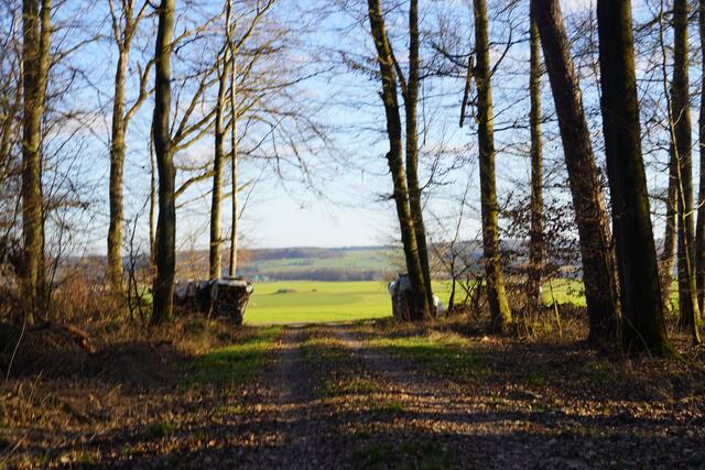 Spread love quotes image