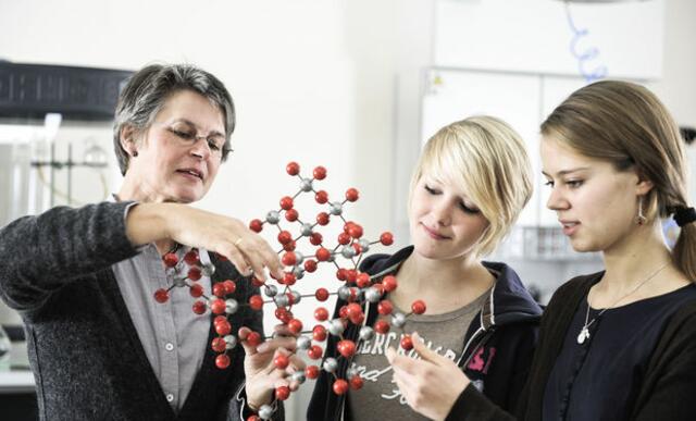 Ziel des Wettbewerbs ist es, Jugendliche für Mathematik, Informatik, Naturwissenschaften und Technik zu begeistern, Talente zu finden und zu fördern.