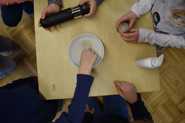 Das Experiment mit dem Pfeffer und der Seife