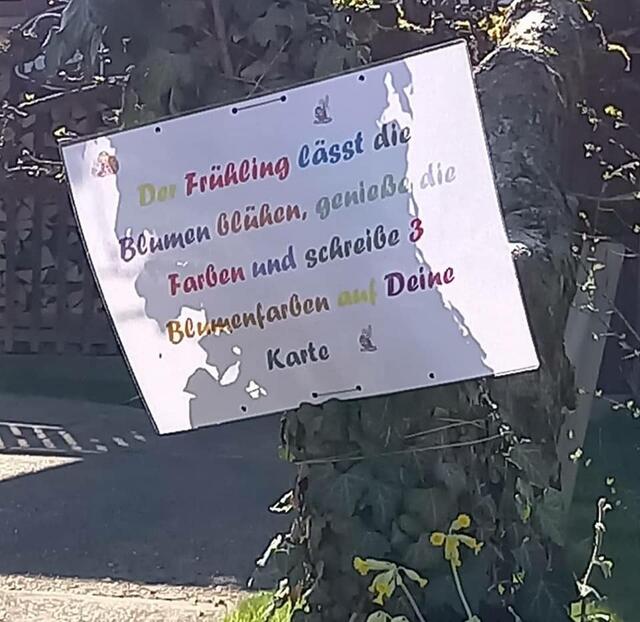 Foto: TV Trennfurt