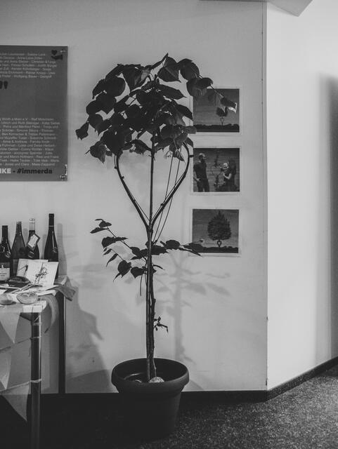 Dieser Herzbaum wird seine Wurzeln auf dem Klinikgelände schlagen. Wir freuen uns schon darauf, ihn wachsen zu sehen. | Foto: toscagrafie