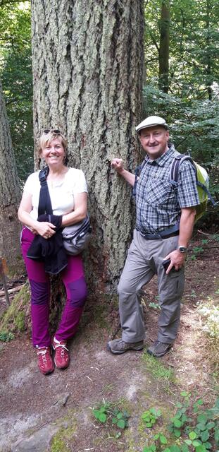 Bundestagsabgeordneter Bernd Rützel und SPD-Ortsvereinsvorsitzende Sabine Kettinger am größten Baum Bayerns 