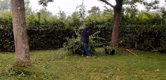 Foto: Wolfgang Giegerich