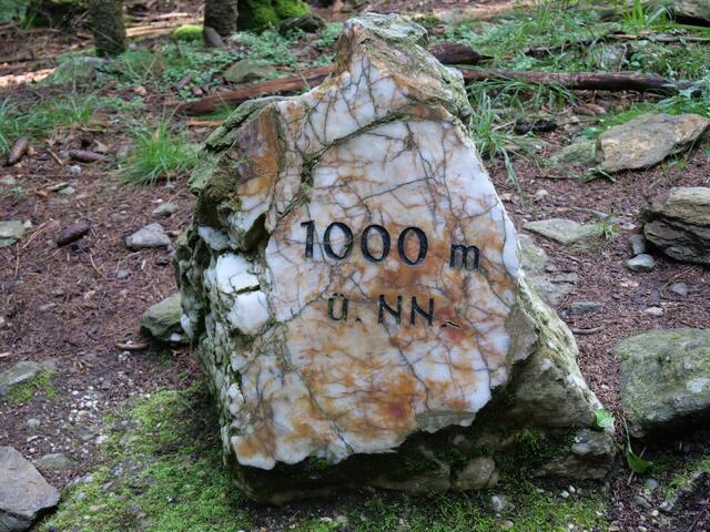 Osser Bild1von13