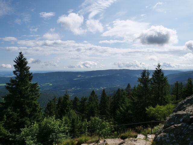 Osser Bild11von13