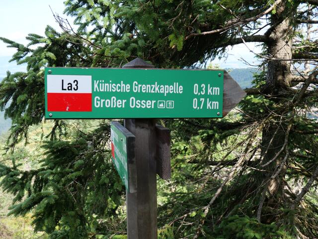 Osser Bild8von13