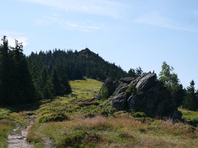 Osser Bild5von13