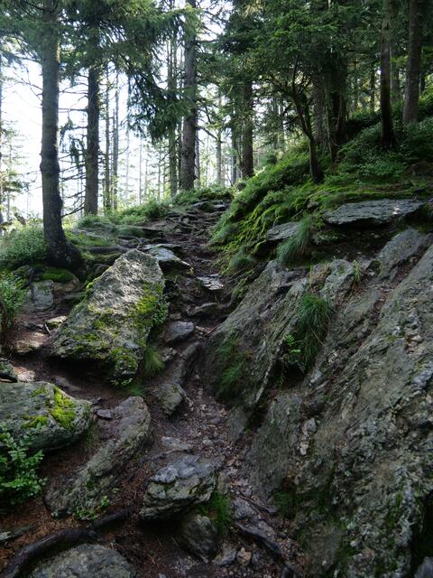 Osser Bild6von13