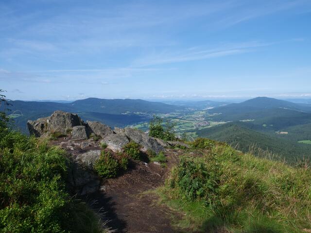Osser Bild 3von13