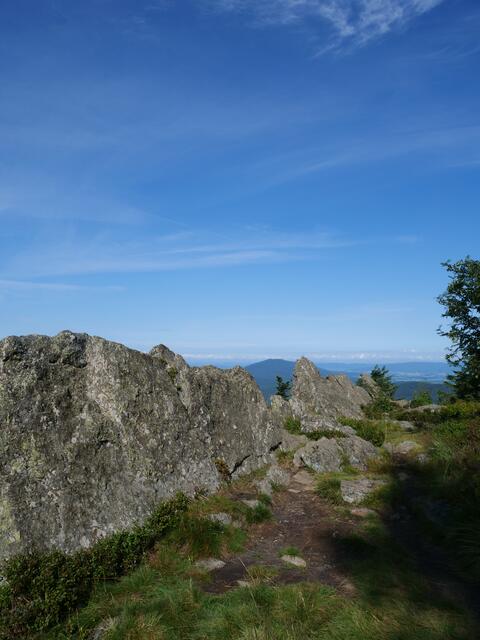 Osser Bild 4von13