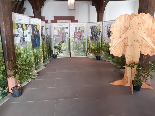 Ausstellung im Alten Rathaus Amorbach. | Foto: Anika Weisbrod