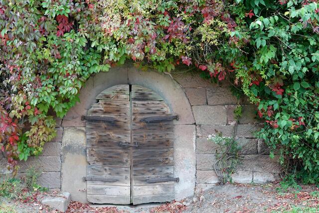 Sommer der Kindheit
In ihrer lesenswerten Erzählung „Eine Dorfgeschichte“ entwirft die bekannte Schriftstellerin Katharina
Hacker (* 1967 in Frankfurt am Main) ein besonderes Charakterbild dieses Odenwalddörfchens, in dem sie in ihrer wohl nicht ganz einfachen Kindheit die Sommer brachte.

Sie beschreibt die Licht- und Schattenseiten ihrer jungen Jahre. Mehrmals kehrte sie später in das Odenwald-Dörfchen zurück, um hier zu recherchieren und zu schreiben sowie sich der Winkel und Menschen von einst in den 1970er Jahre zu erinnern.