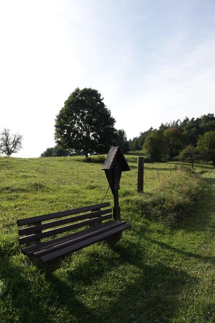 "Gott schuf für uns die Zeit, von Eile hat er nichts gesagt!"
Das steht an diesem Wegekreuz  über dem Kohlgrund bei Eichenbühl.
