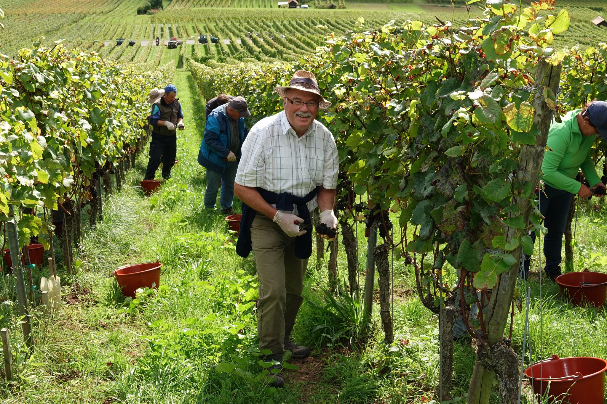 Spread love not hate bible verse picture