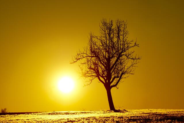 Goldener Oktober.