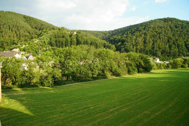 Zusammenhänge gibt es mit Freudenberg und ihrer ersten Burg, der Frohburg. Lehensinhaber waren auch hier die Edelherren von Dürn bzw. von der Frohburg. 