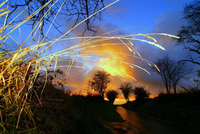"Alles still! Es tanzt den Reigen
Mondenstrahl in Wald und Flur,
Und darüber thront das Schweigen
Und der Winterhimmel nur.“ - Impressionen zwischen Tag und Traum. 