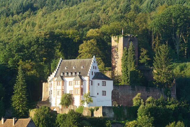 Die Mildenburg oberhalb von Miltenberg. 